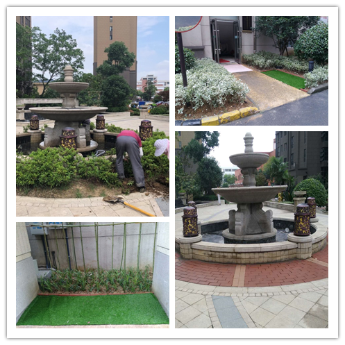 中国·新葡萄(8883-AMG)官方网站|Macau Platform