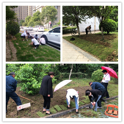 中国·新葡萄(8883-AMG)官方网站|Macau Platform