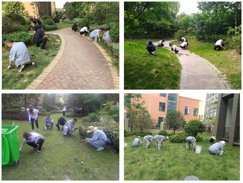 中国·新葡萄(8883-AMG)官方网站|Macau Platform