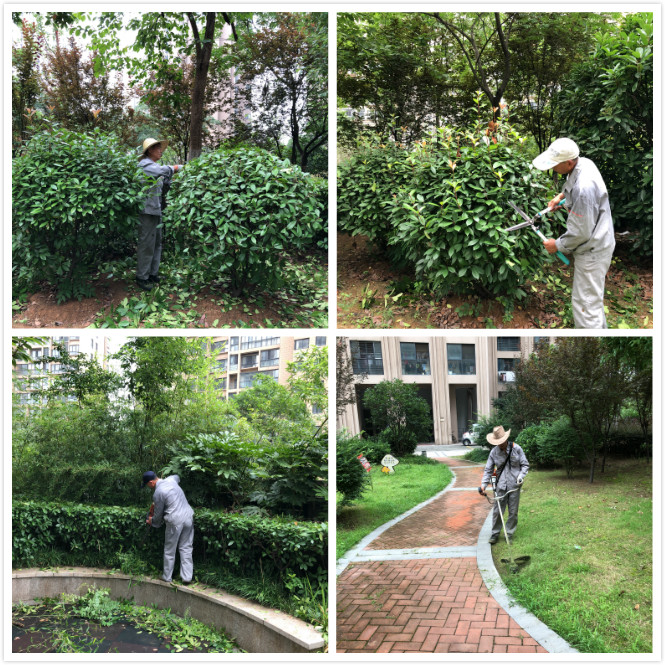 中国·新葡萄(8883-AMG)官方网站|Macau Platform