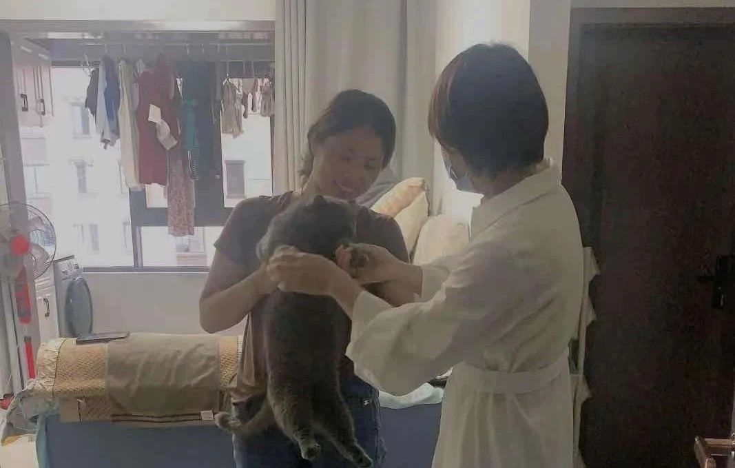 中国·新葡萄(8883-AMG)官方网站|Macau Platform