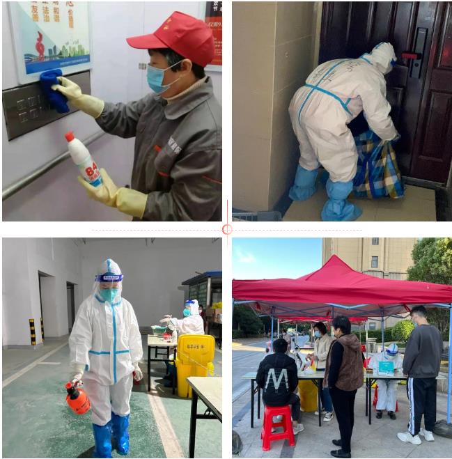 中国·新葡萄(8883-AMG)官方网站|Macau Platform